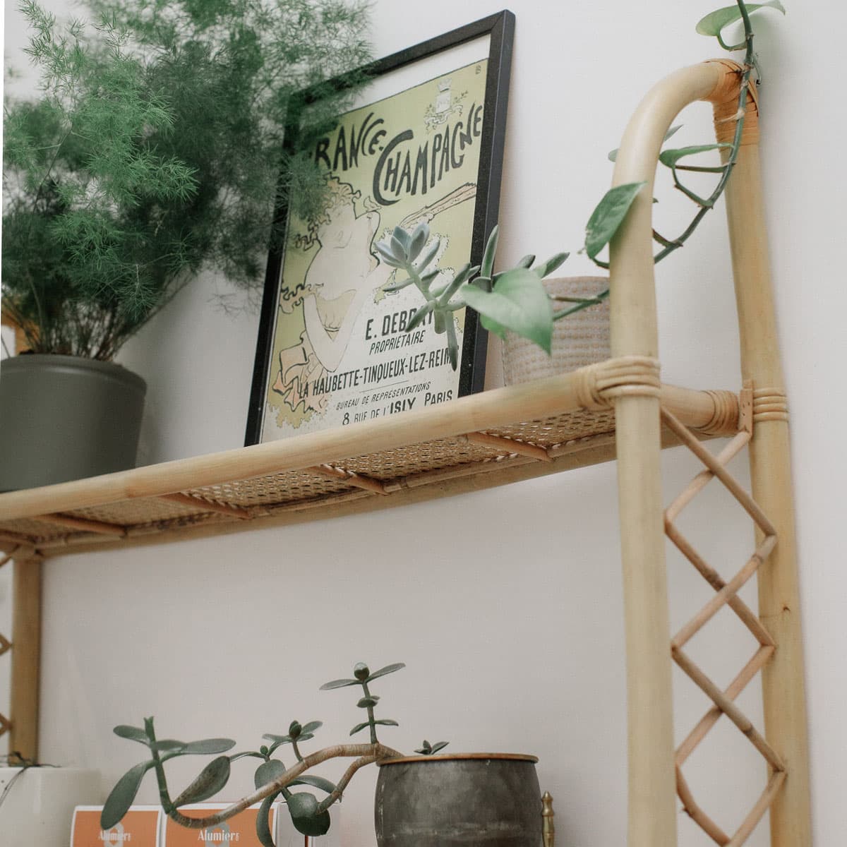 wicker-stand-plants