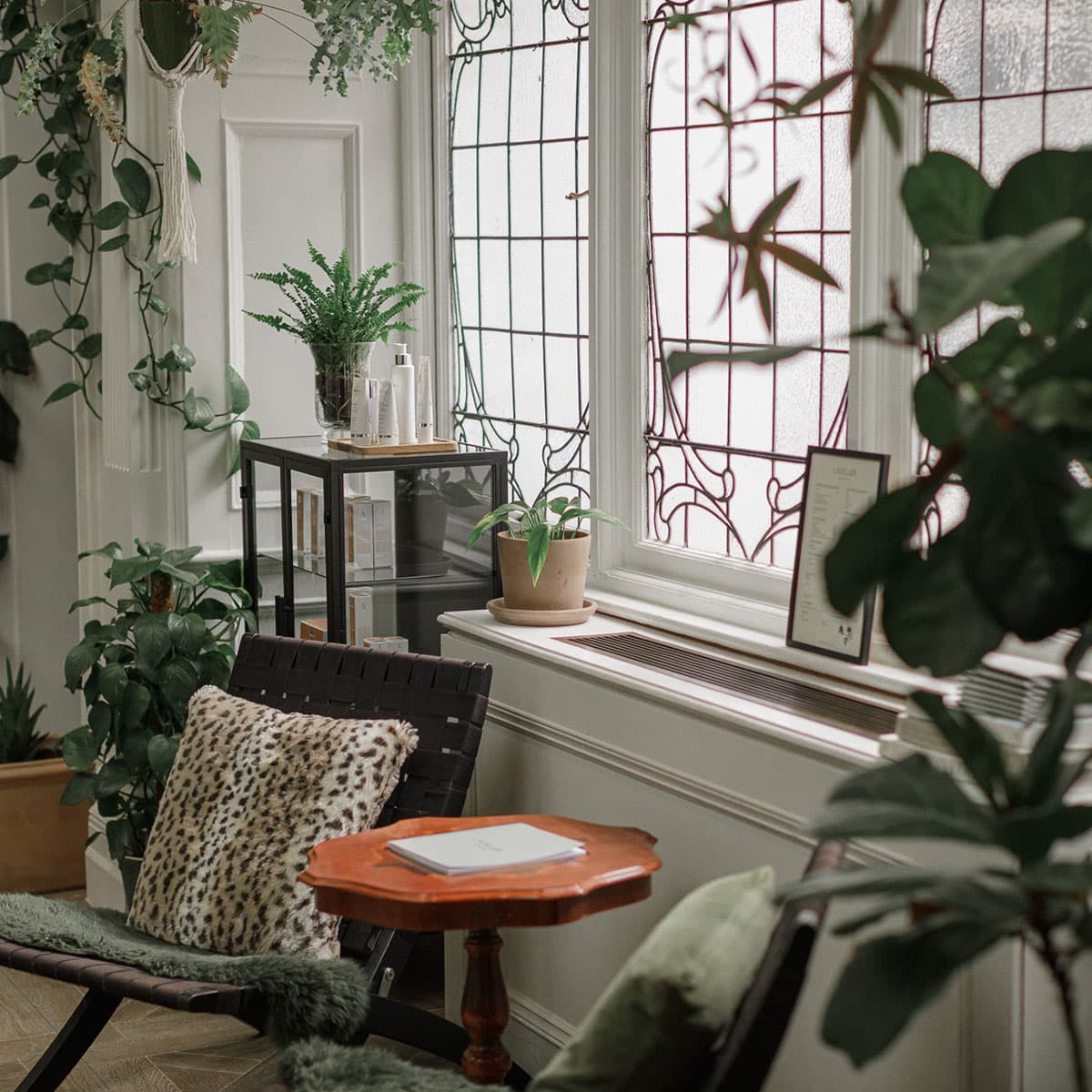 waiting-room-window-chair-plant