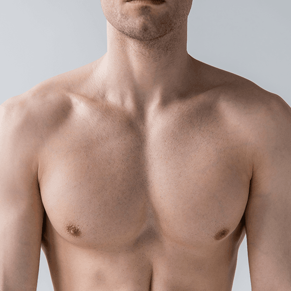male-torso-muscles